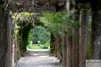 Arlie Gardens-74