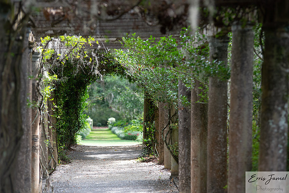 Arlie Gardens-74